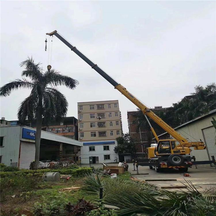 环江吊车吊大树几种方法